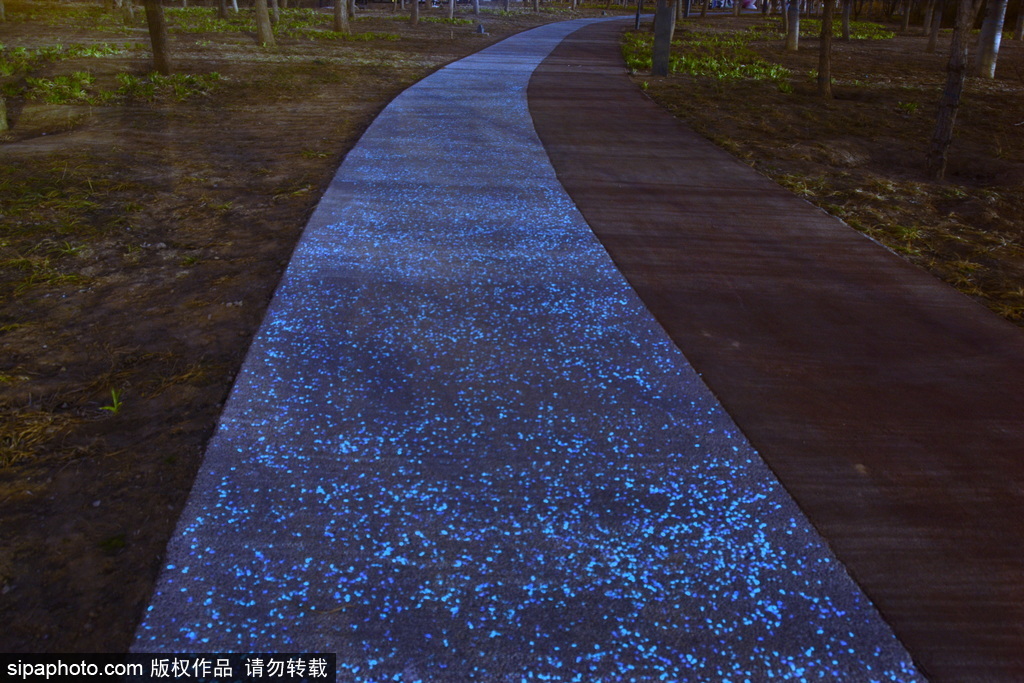 良乡大学城公园科苑主题区的“荧光步道”