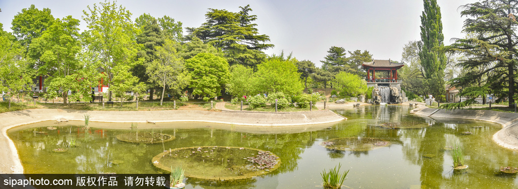 游览国家植物园南园（原中国科学院植物研究所植物园）