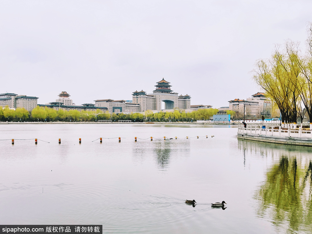 莲花池公园迎来春天