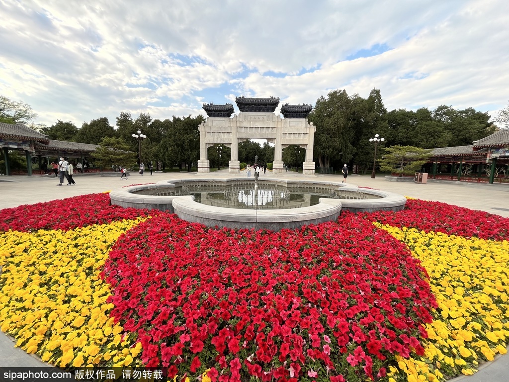 2022中山公园游玩攻略,沈阳中山公园位于沈阳市和平...【去哪儿攻略】