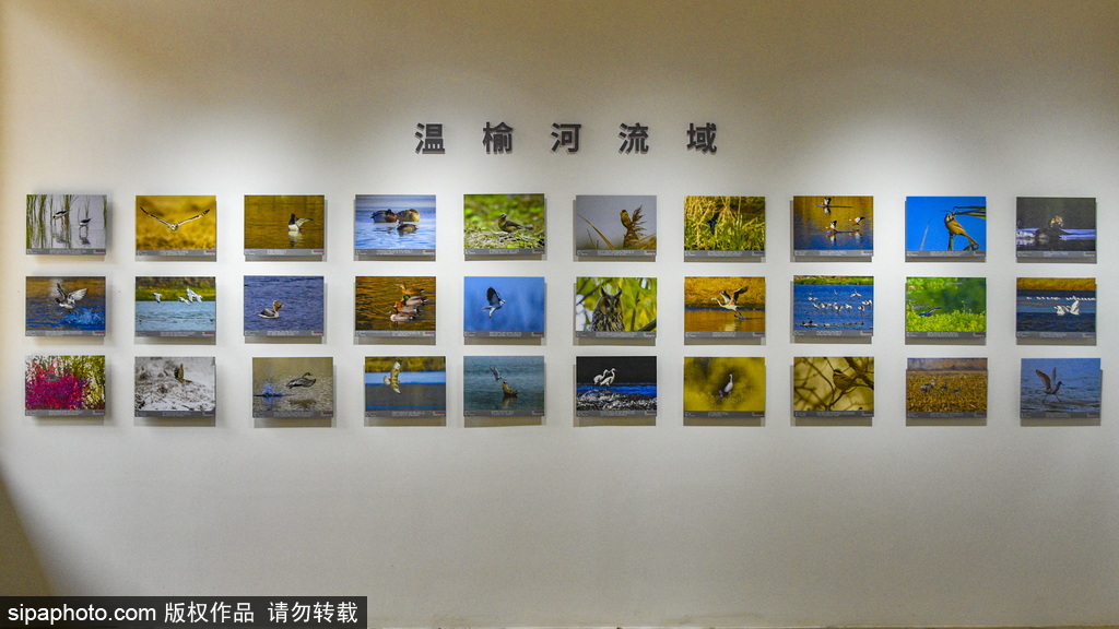 温榆河公园举办的“温榆·印象”图片展
