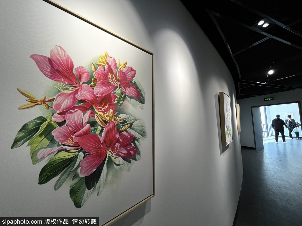 “中国特有植物——曾孝濂艺术绘画展”亮相国家植物园