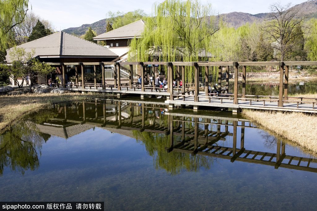 北京植物园：澄明湖