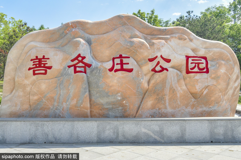 北京：望京地区的善各庄公园
