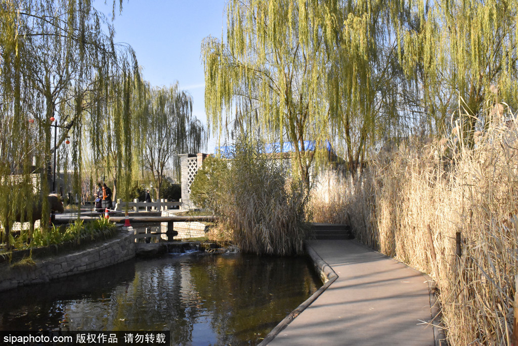 宁静安逸的北芦草园胡同，北京原汁原味的人文风貌