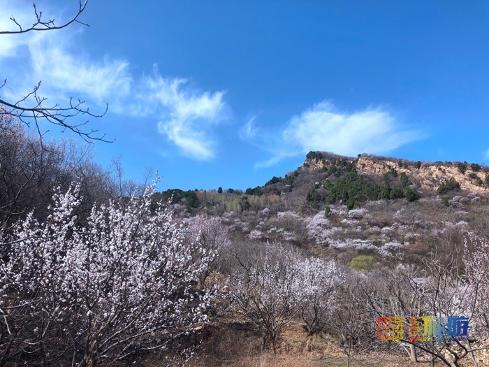 智慧谷：风景秀丽，葱郁静谧