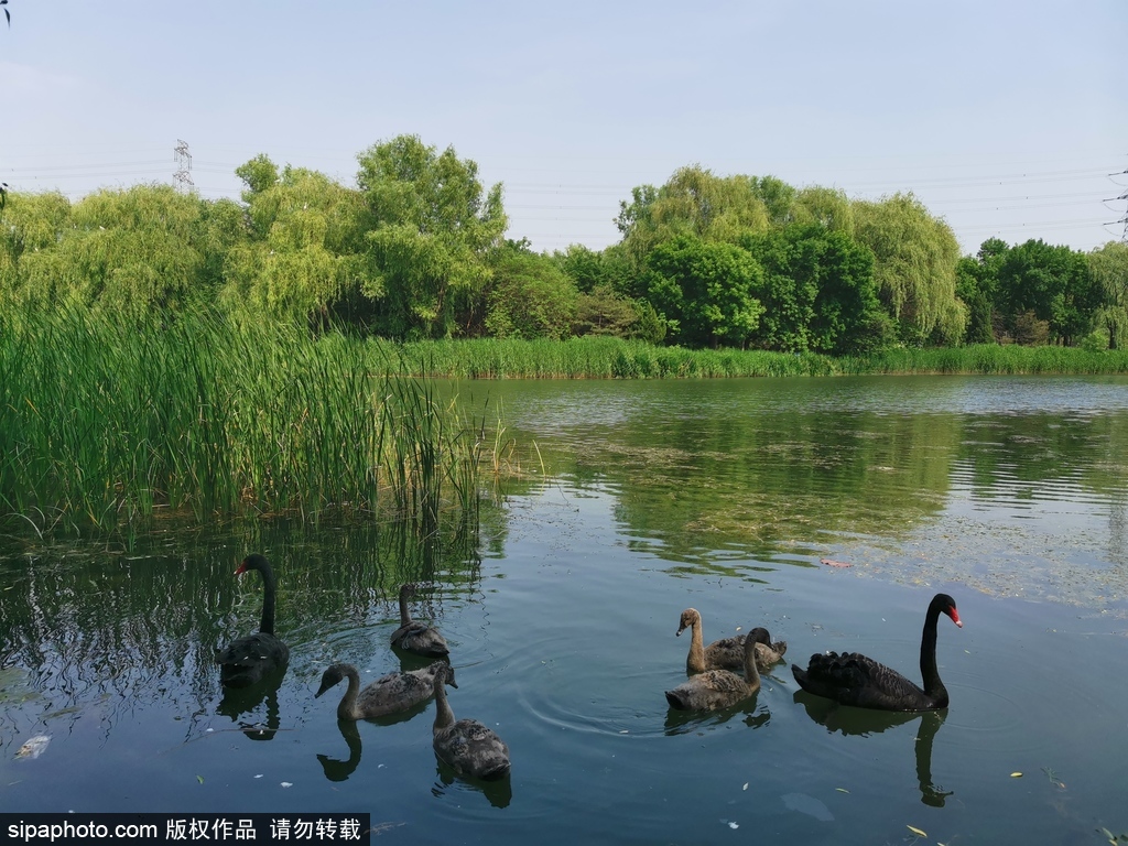 奥森盛夏来临