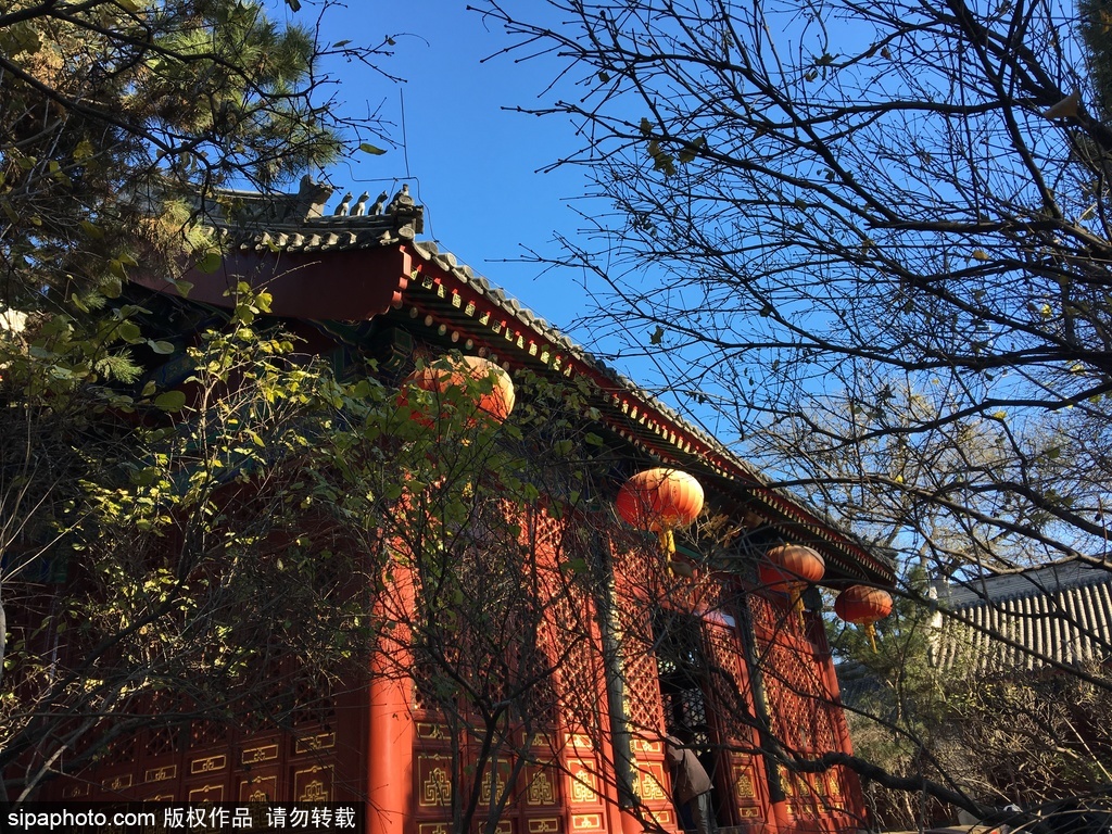 历史悠久的古刹法源寺，见证历史变迁与世事无常