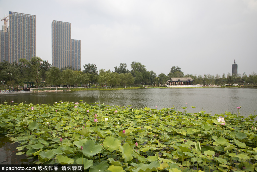 京郊第一座水上世界所在地：西海子公园