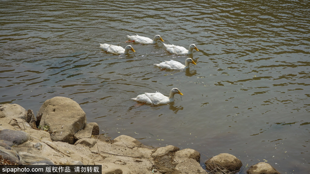 依山傍水天河水韵