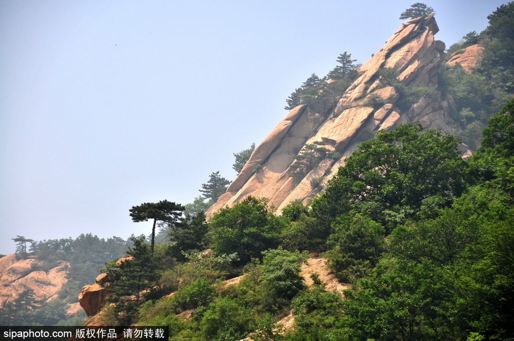 绿水青山，奇花异草：幽谷神潭自然风景区