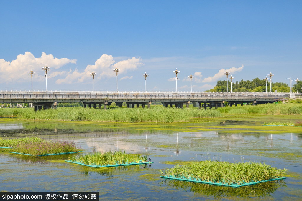 顺义城区潮白河畔，周边居民休闲散步之地