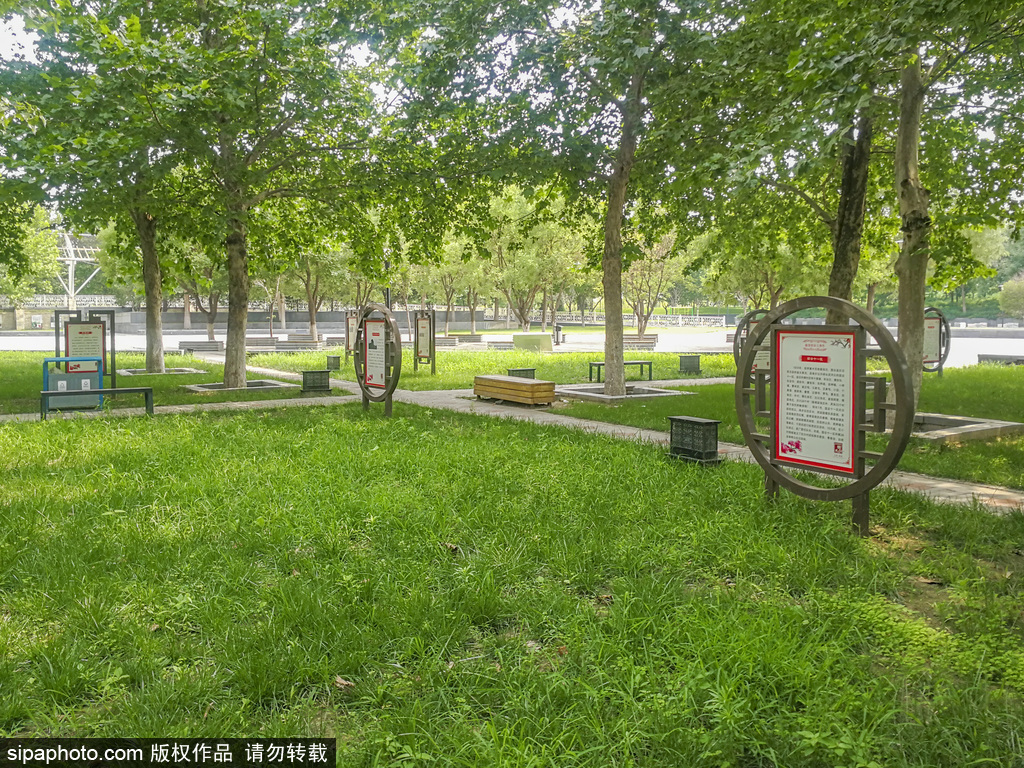 800多名学生走进黄垡苗圃体验绿色教育-媒体报道-北京市园林绿化局（首都绿化委员会办公室）