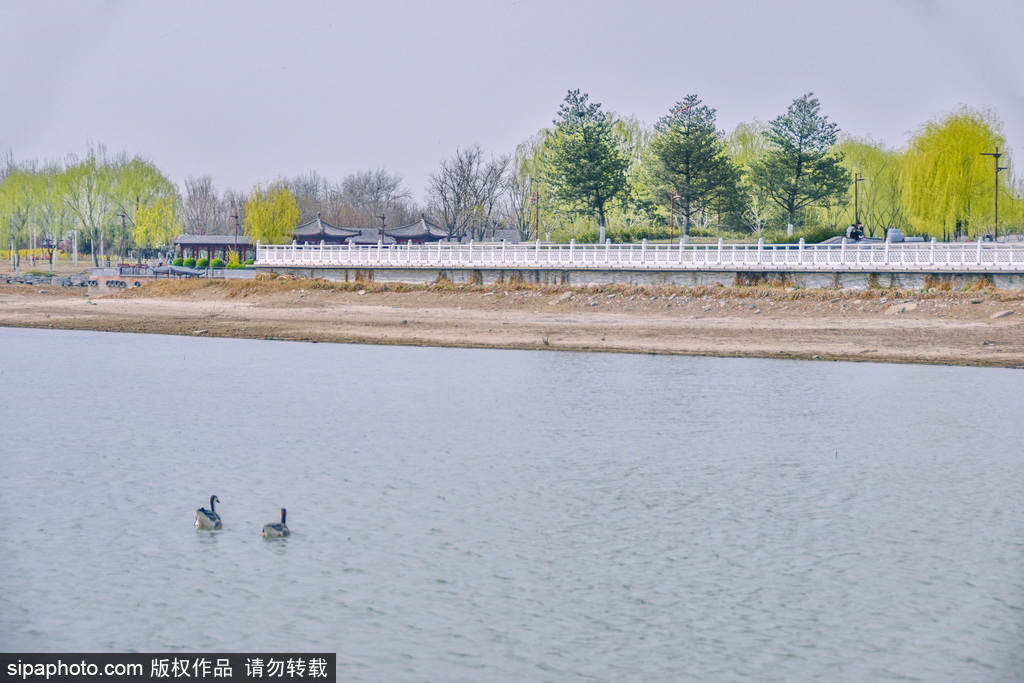 南海子郊野湿地公园风和日丽