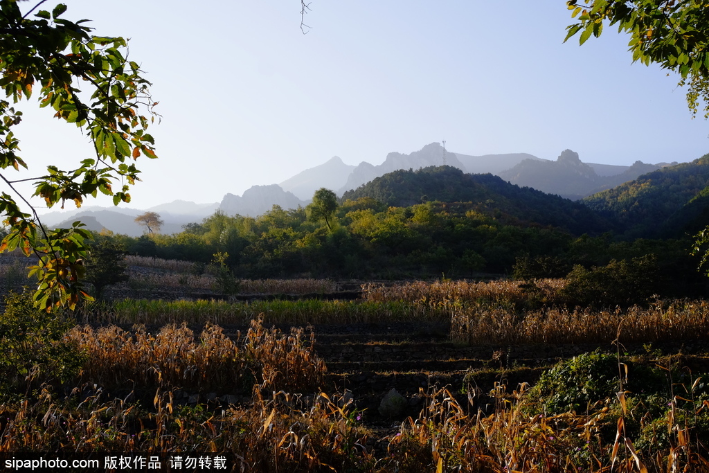 北方“小黄山”——云蒙山