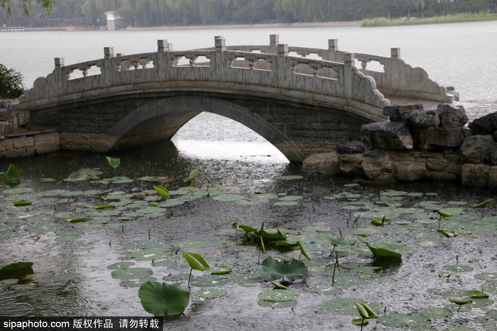 玉渊潭公园雨中风光清新动人