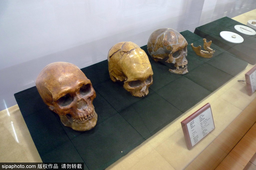 发掘出第一颗完整的“北京猿人”头盖骨的遗址博物馆：周口店北京人遗址博物馆