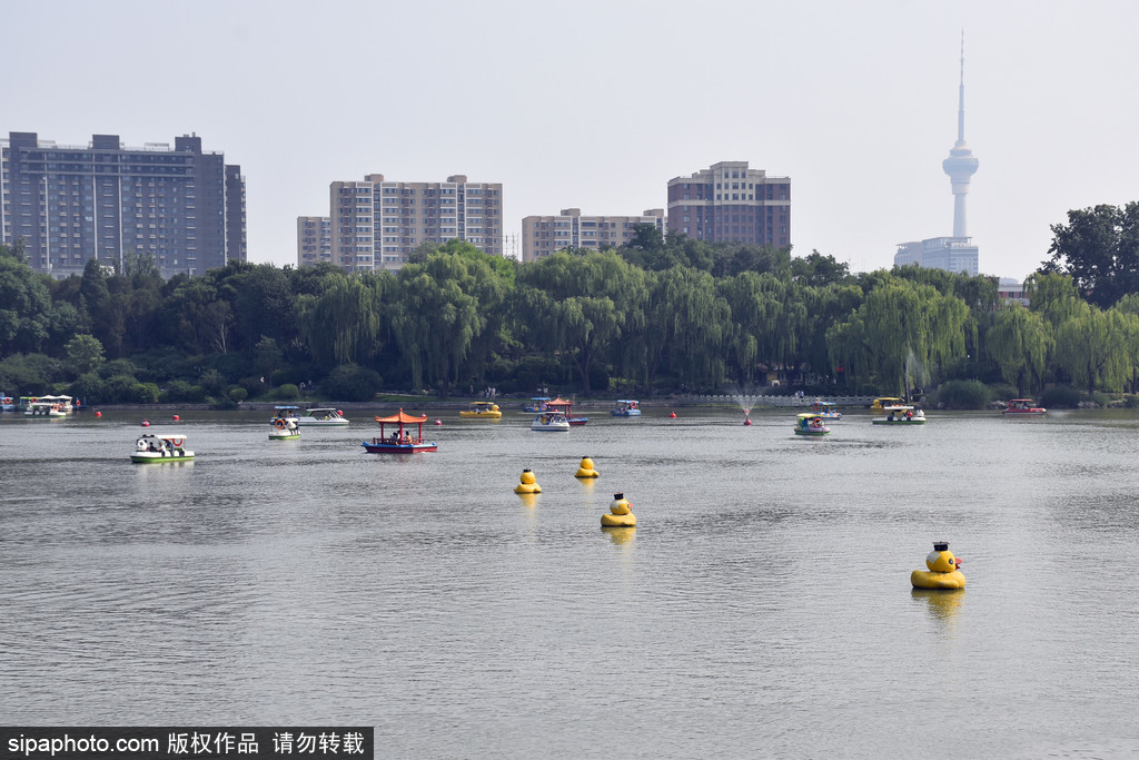 六月北京热浪翻滚，游客泛舟紫竹院公园觅清凉