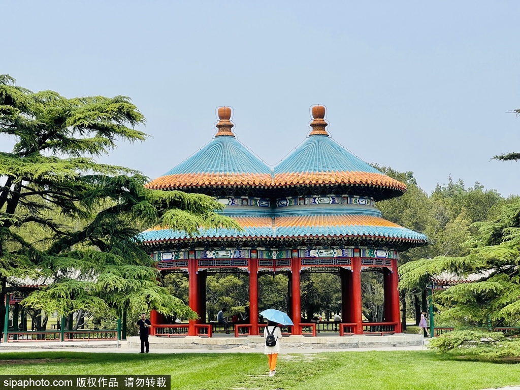 北京：感受天坛公园的盛夏时光