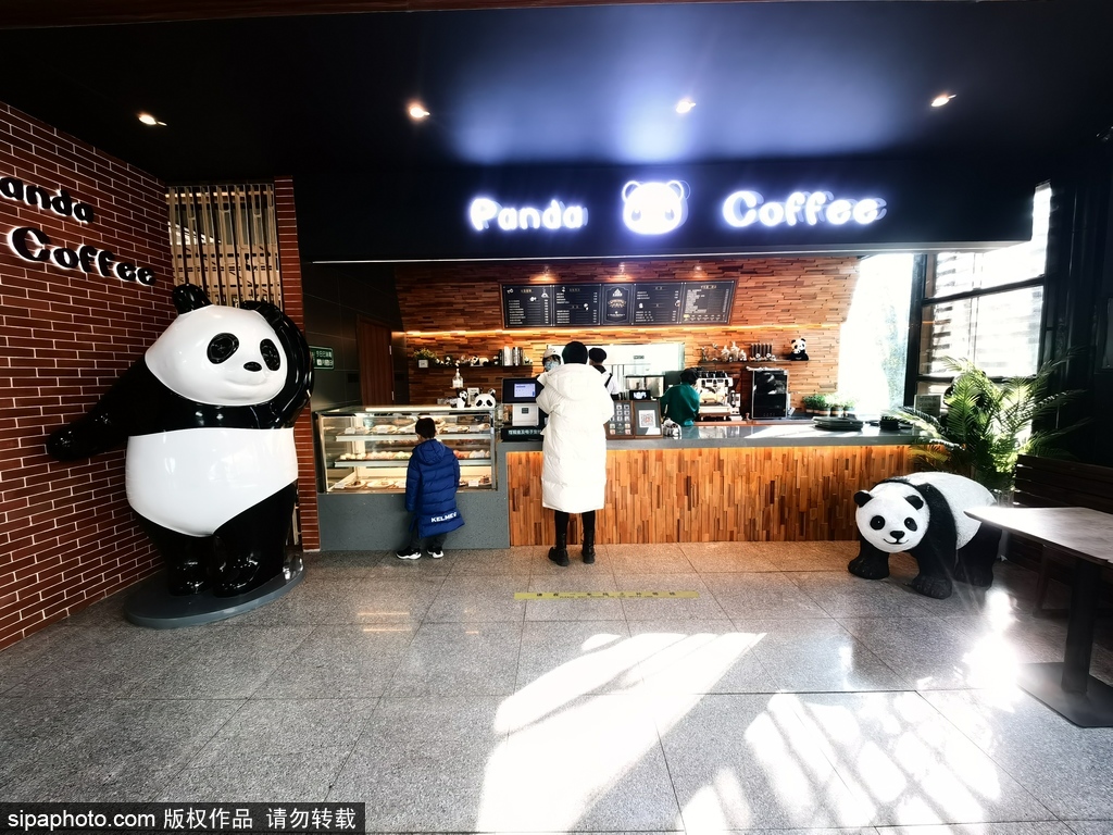 北京动物园熊猫主题咖啡馆，来熊猫馆喝“熊猫咖啡”