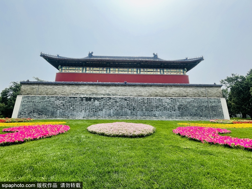 盛夏的北京天坛公园静谧美好，绿草如茵碧天如洗十分惬意