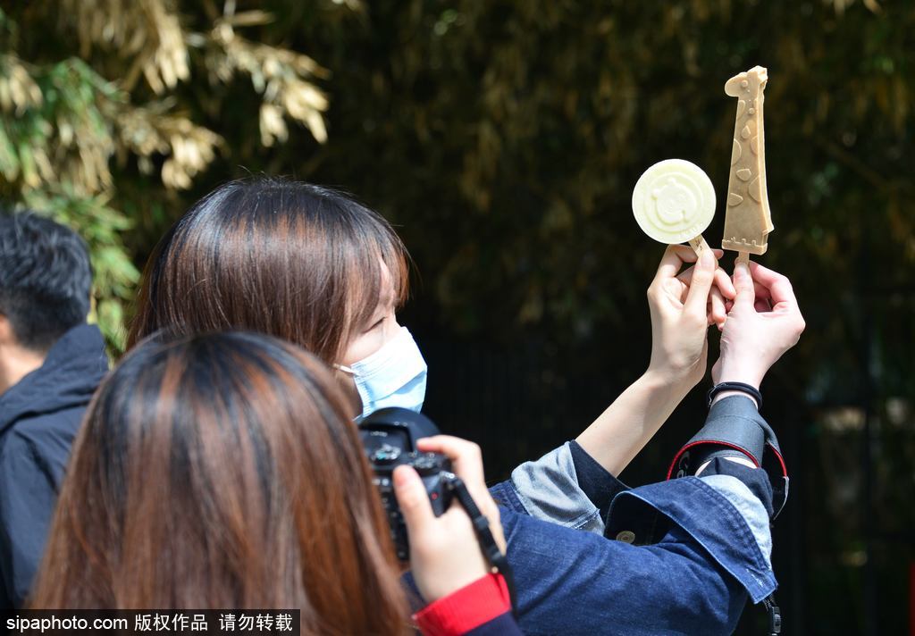 北京动物园文创雪糕造型独特，一经上市广受欢迎
