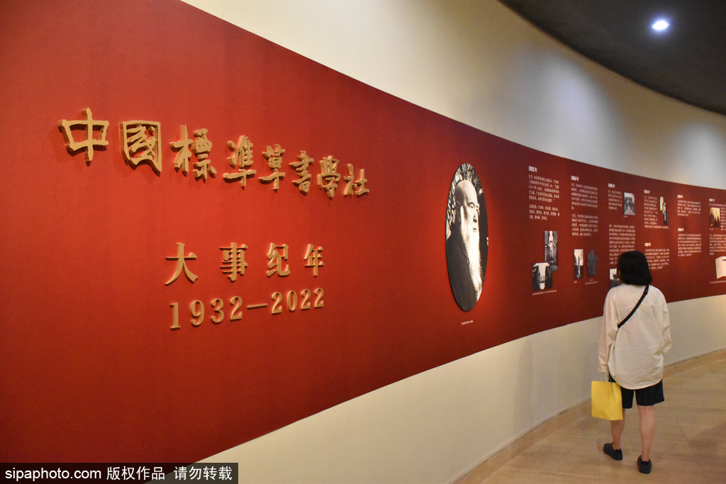 纪念中国标准草书学社建社九十周年海内外草书大展