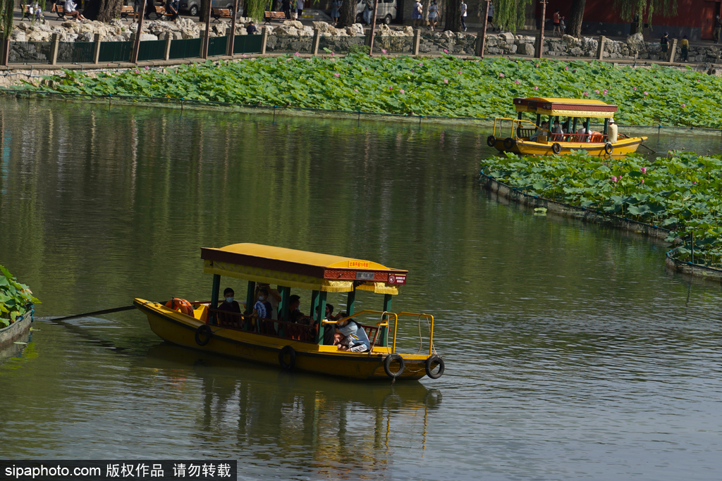 北京持续升温 北海公园划船揽游客