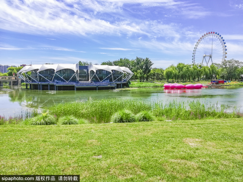 一分钟见证摩天轮安装全过程！龙潭中湖公园开园在即_北京游乐园