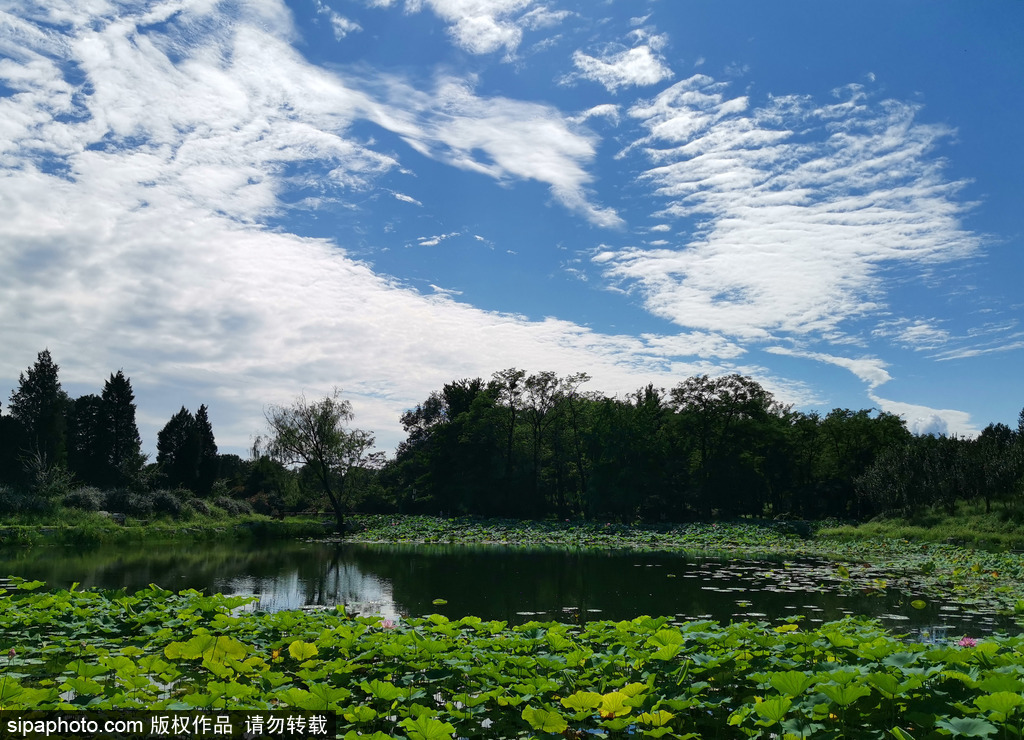 圆明园蓝天白云美不胜收