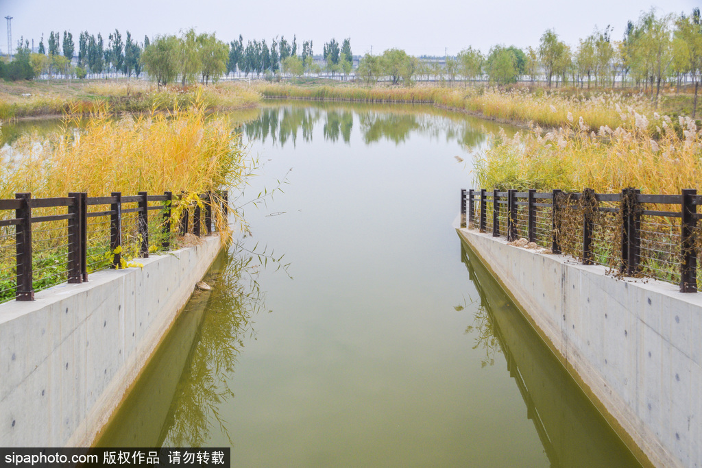 北京黑桥公园秋景迷人