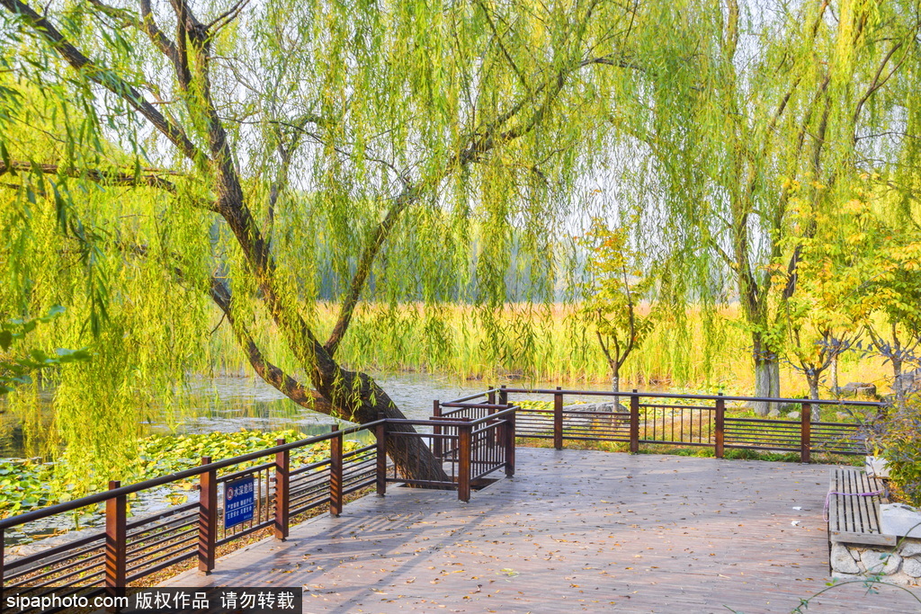 北京：一座社区公园，孙村公园B区