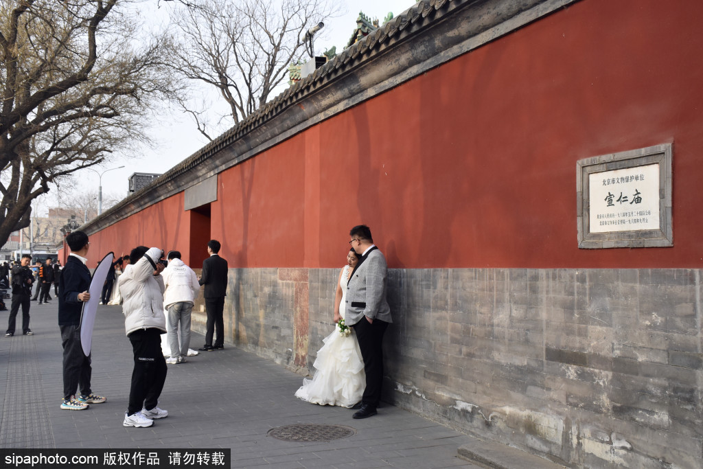 北京：北池子大街红墙成了婚纱写真留影的热门打卡景点