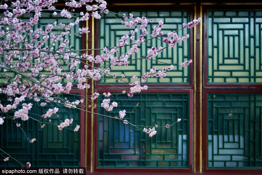 北京：谐趣园花红柳绿倒影浮楼