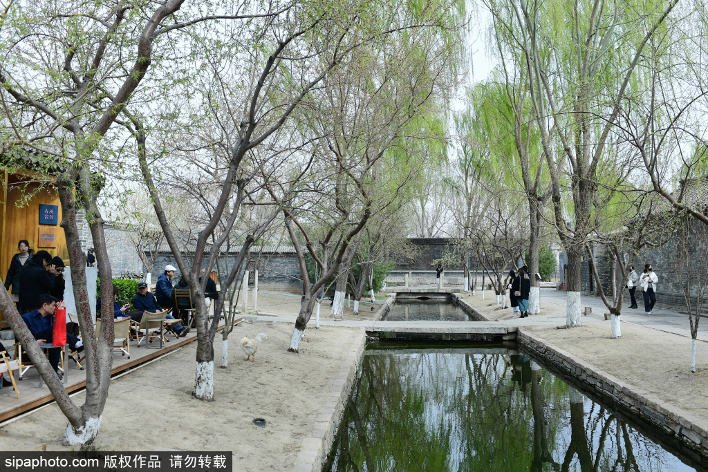 北京：走进三里河的春天