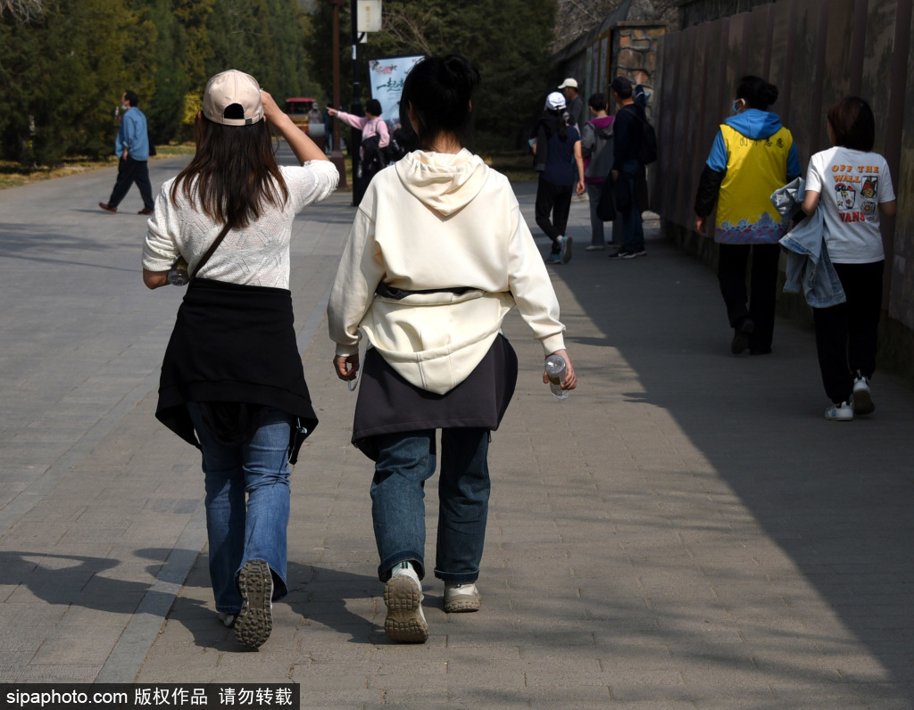 北京春日气温持续走高  游客“轻装”游览圆明园