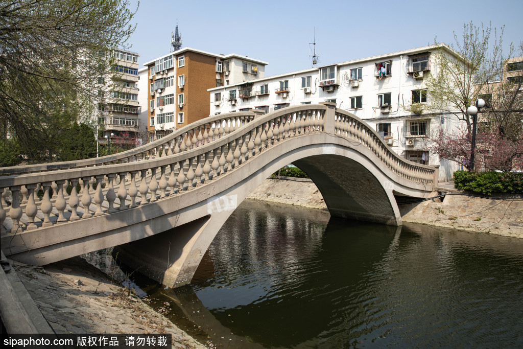 天津津河风光