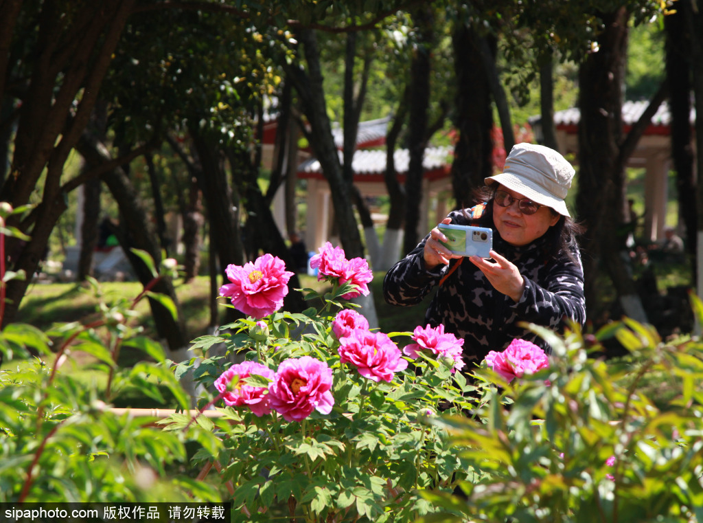 观花赏景度周末