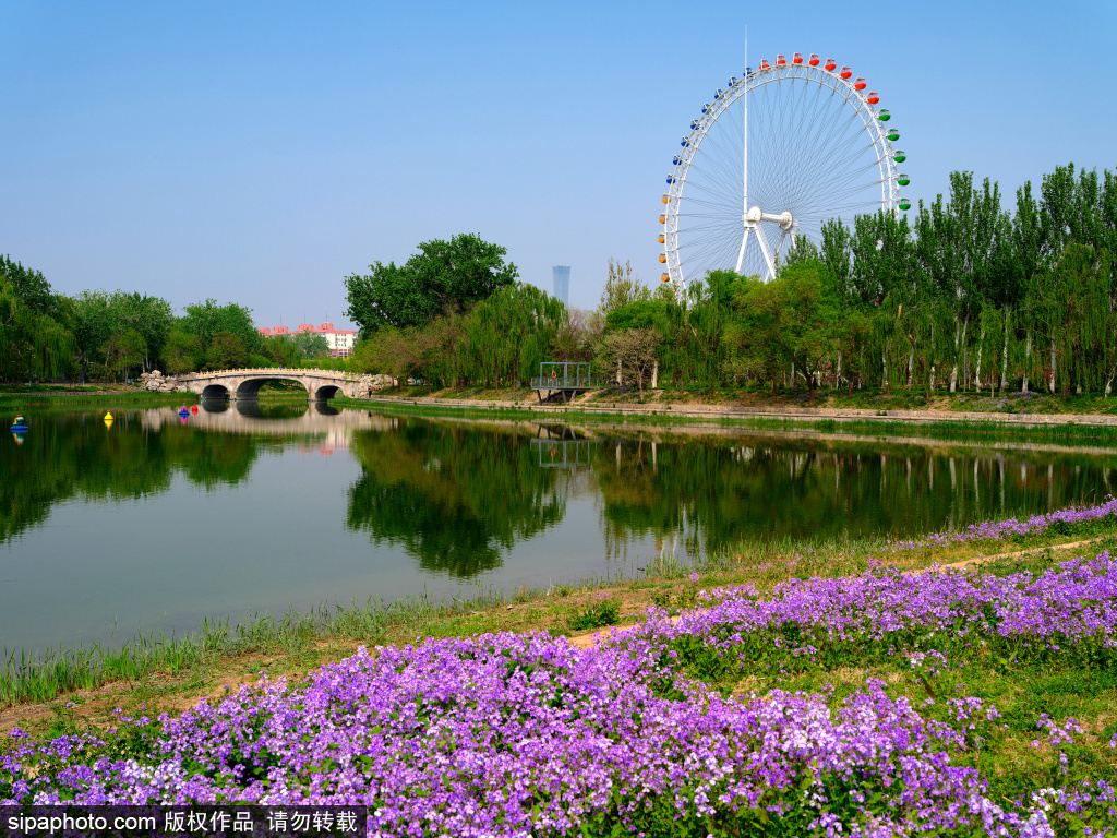 北京：龙潭中湖公园 - 知乎