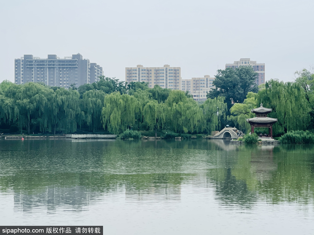 北京：雨中漫步紫竹院公园