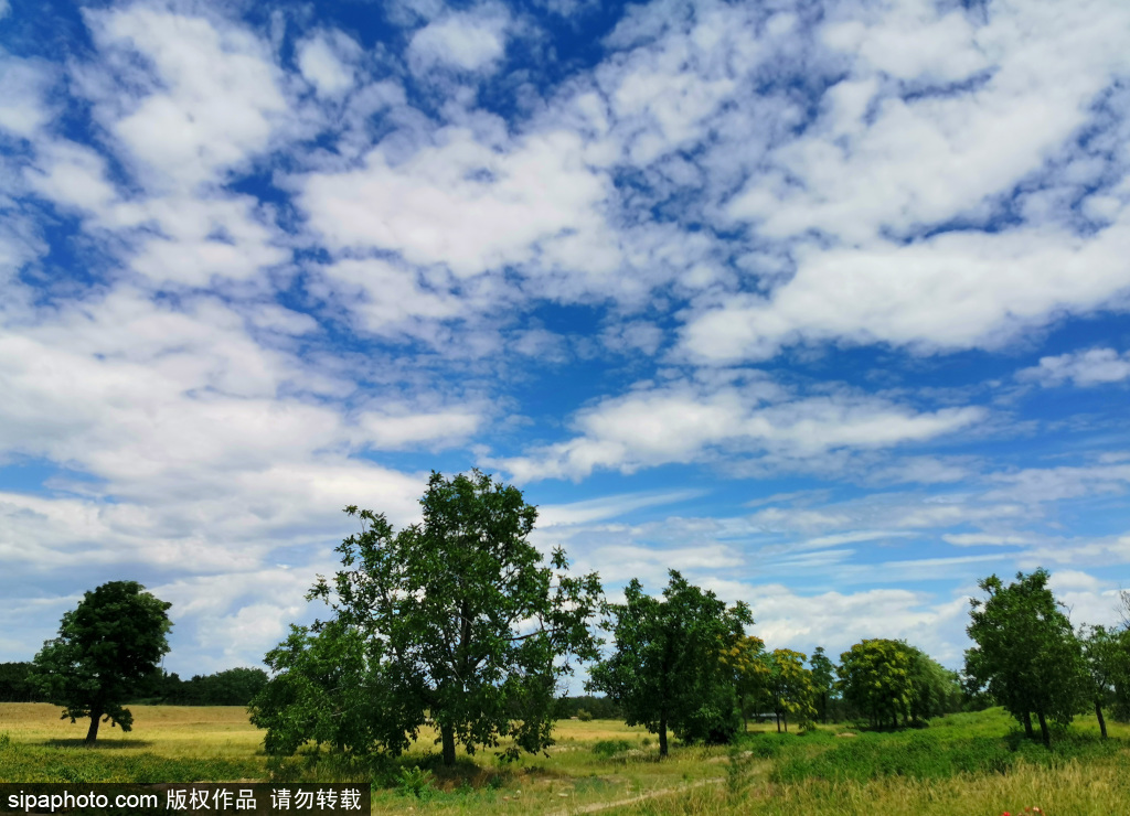 北京夏日持续高颜值天气  蓝天白云“刷爆”朋友圈