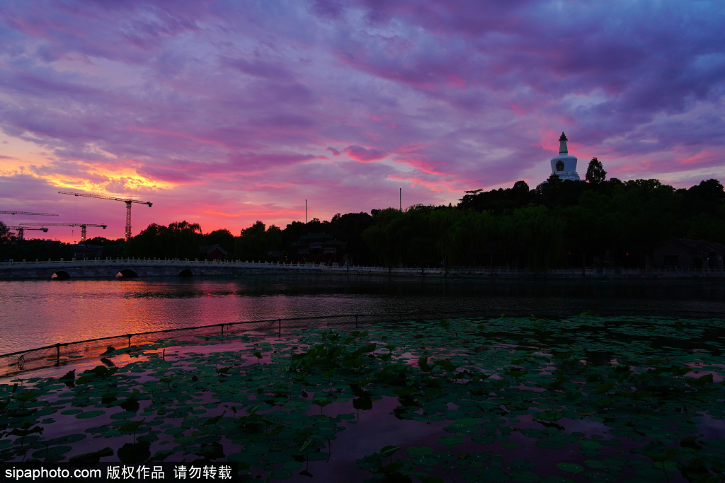 绝美绚丽晚霞 与北海公园白塔同框宛如油画