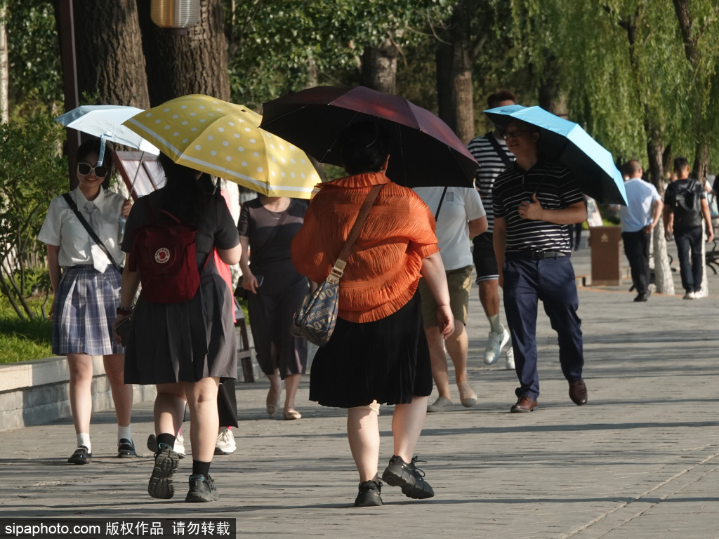 持续晴晒高温天气  公园，街头游客顶烈日打伞游览
