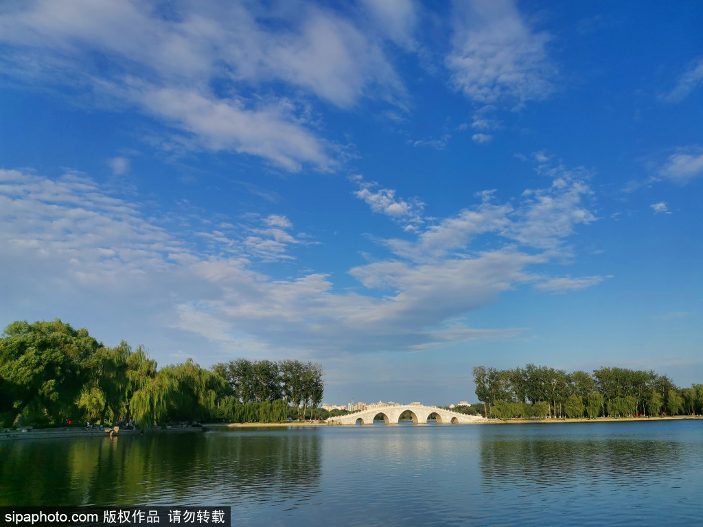 北京持续晴晒高颜值天气  玉渊潭蓝天白云景致美