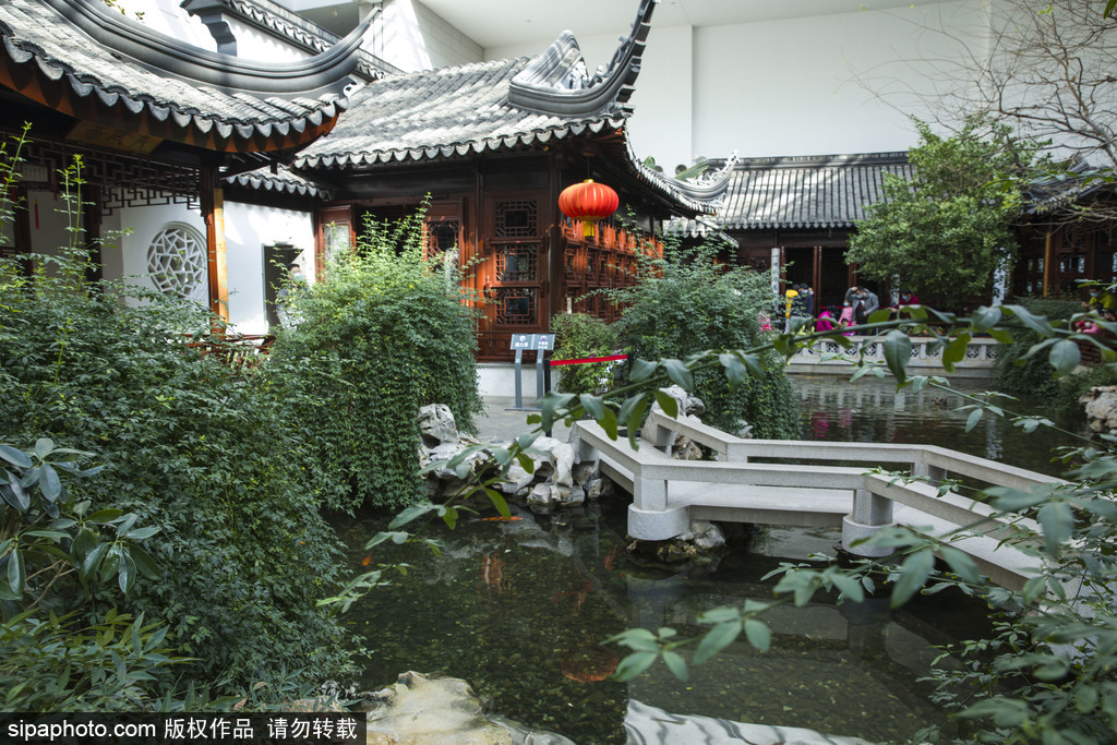 中国园林博物馆开启“仲夏夜之梦”暑期活动