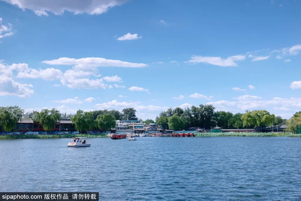 夏日沿湖漫步，赏京城风光