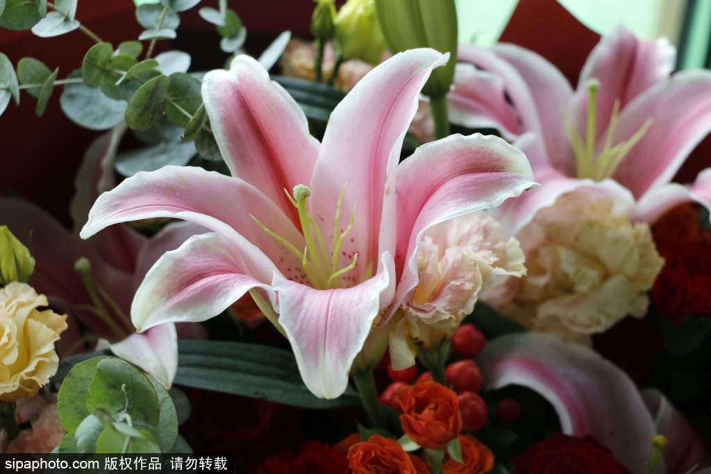 中国鲜花市场规模2023年有望达到1943.7亿元