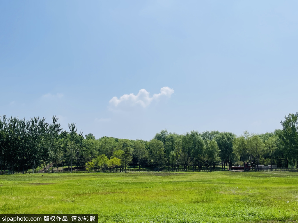 南海子郊野湿地公园夏日风光美