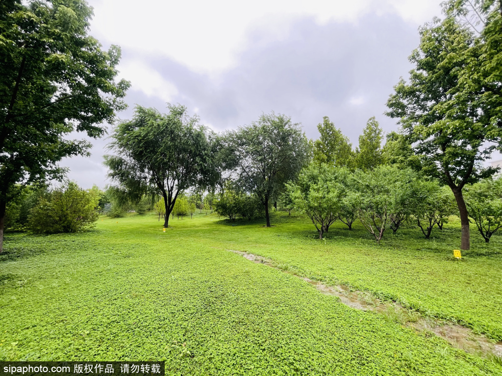 雨中漫步滨水文化公园