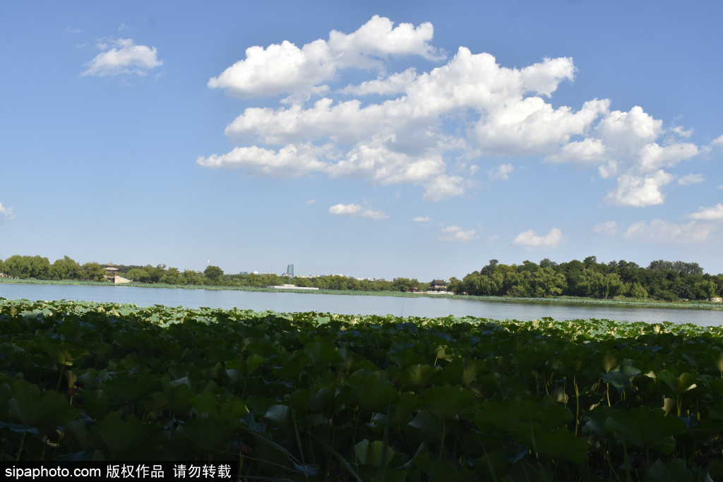 初秋时节京城天空“颜值”在线，颐和园秋高气爽美如画